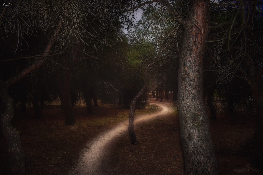 El camino entre