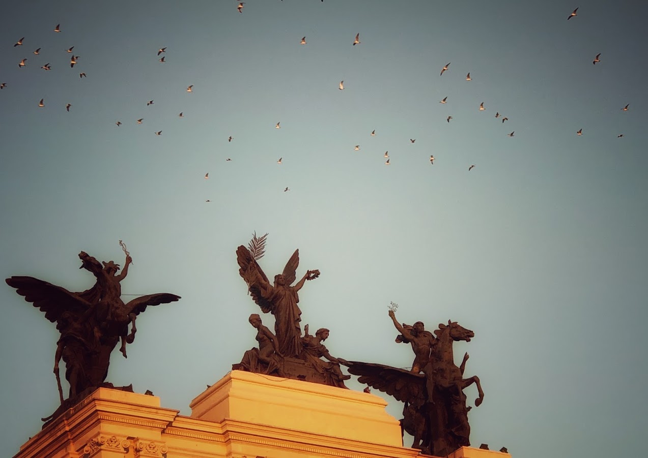 GloriasYGaviotas