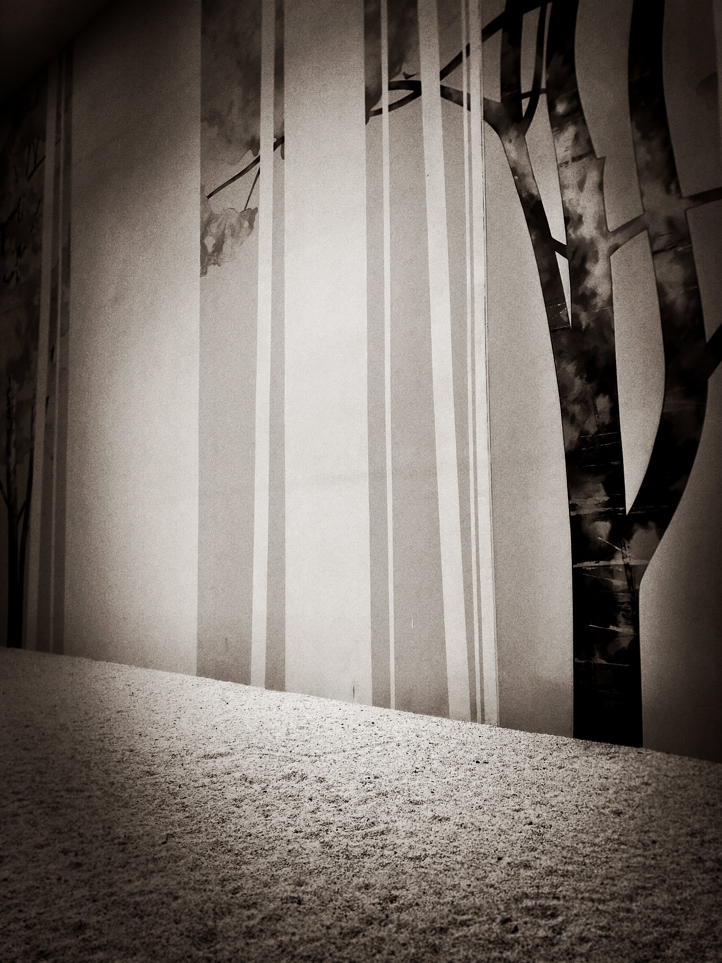photo.jpg