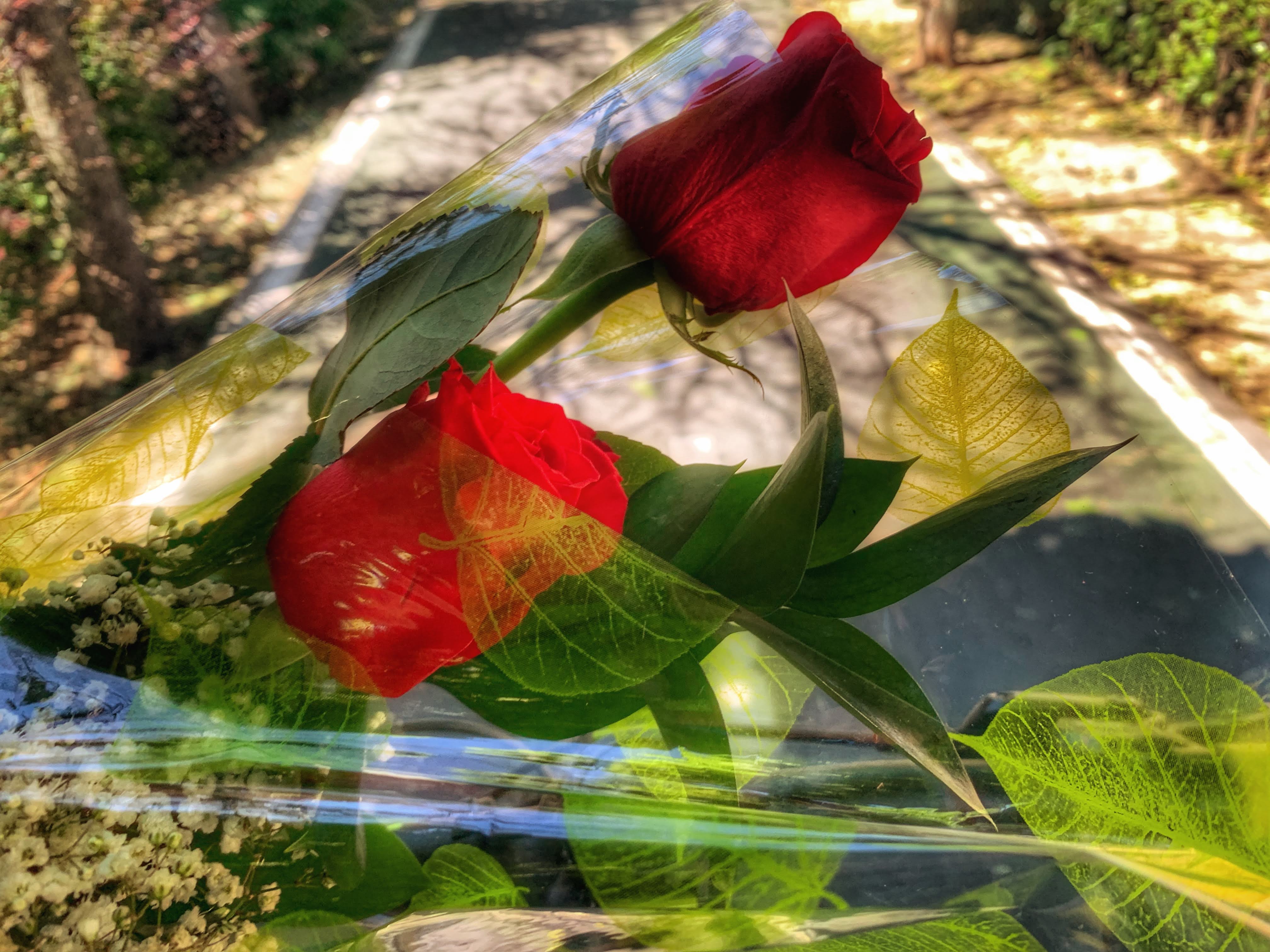 snapseed-1